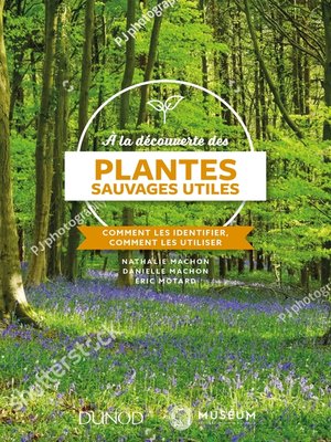 cover image of À la découverte des plantes sauvages utiles